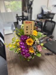 写真